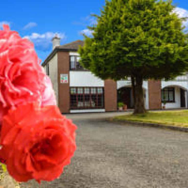 Killowen House B&B Drogheda Eksteriør bilde