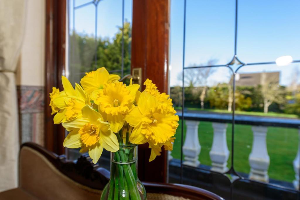 Killowen House B&B Drogheda Eksteriør bilde
